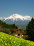 fuji.JPG